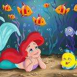 Little Mermaid Disney Cartoon Fishes HD Wallpapers