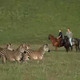 Horse riding in Nyika National Park