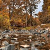Forest River Bridge Autumn Landscape 4K Ultra HD Desktop Wallpapers