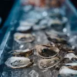 shallow focus photography of oysters on bowl photo – Free