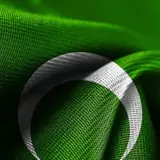 PAKISTAN flag in 2020